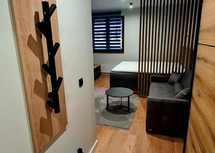 Kopaonik Bela Reka 公寓